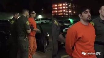 网红罪犯求饶,揭秘网络红人背后的黑暗面