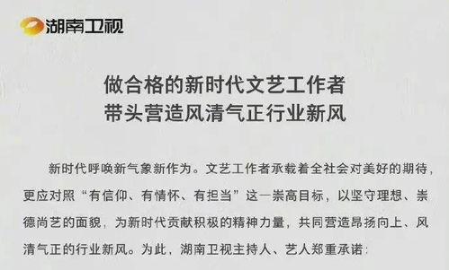 娱乐圈吃瓜报告
